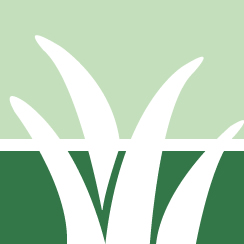 Japanese Knotweed Control Pros