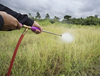 Eco-Friendly Options