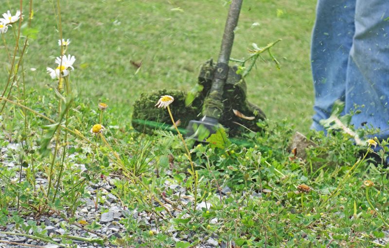 Tools You Actually Need