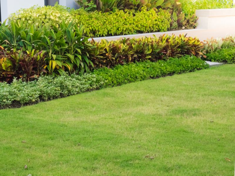 Healthy Lawn Landscape
