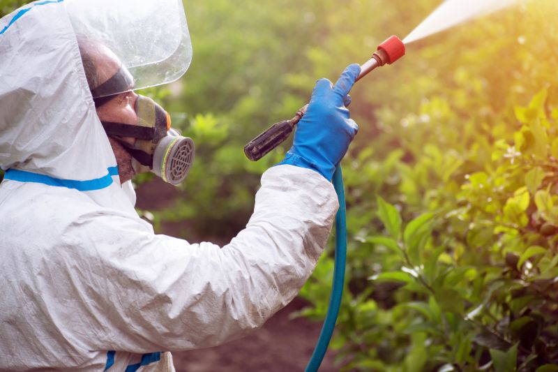 Lawn Weed Spraying in Rockwall, TX