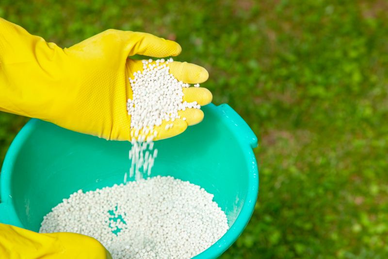 Yard Fertilization in Honolulu, HI